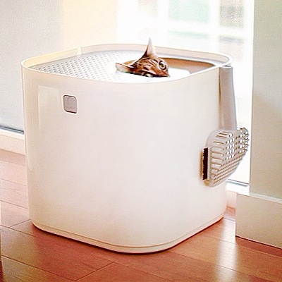 Gatera para gatos Irún