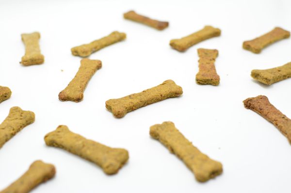 Snacks para perros Irún - foto 2